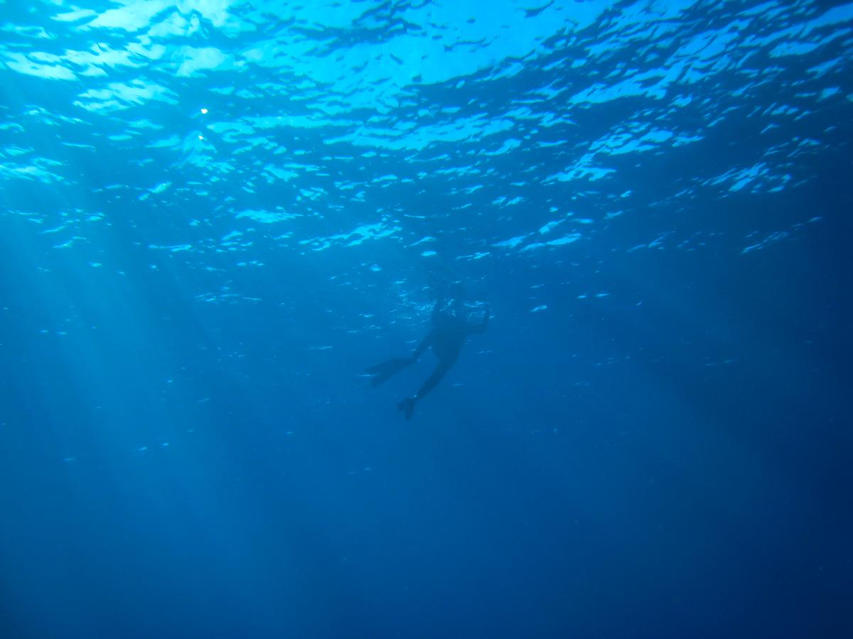 I took this photo under water while shorkeling