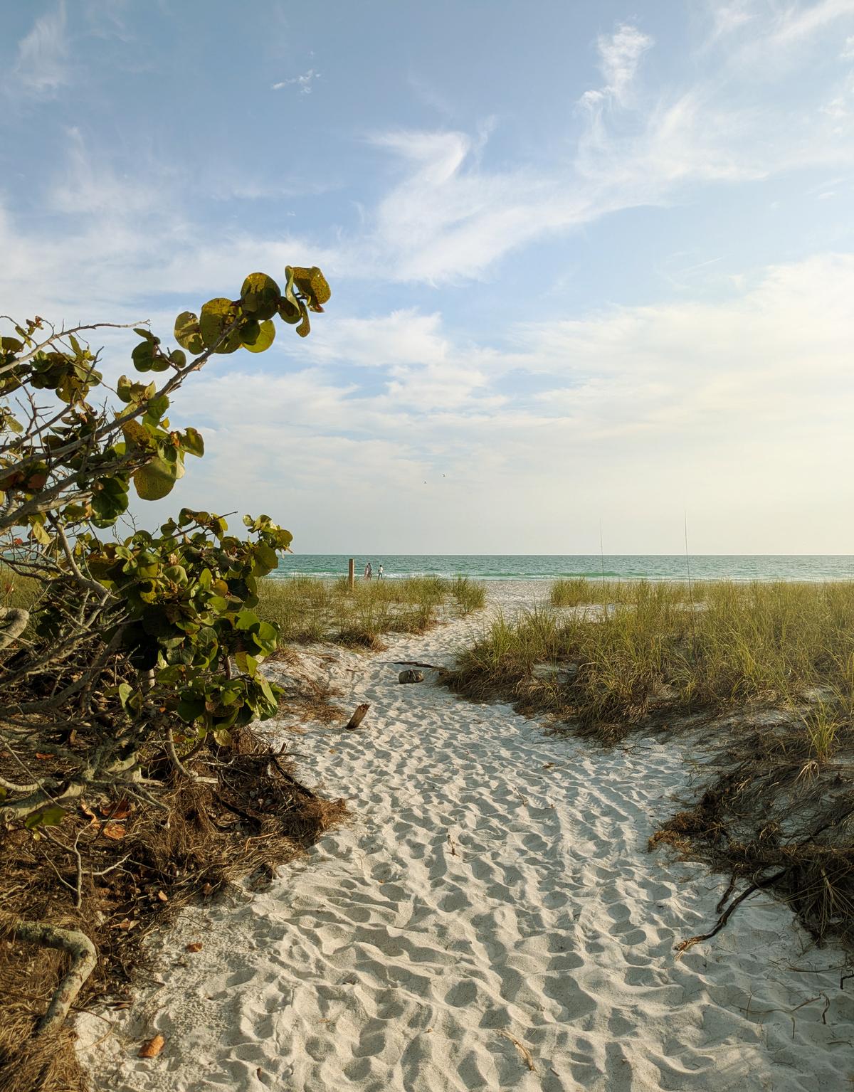 Beach path leading to the ocean on Anna Maria Island in Bradenton Florida