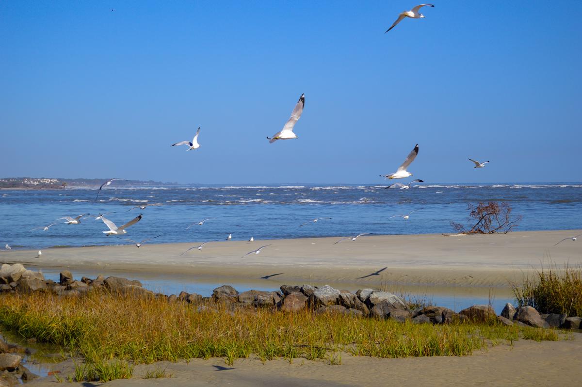 Watch birds and walk coastal trails on a quiet retirement stroll.