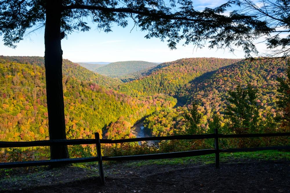 Stand Above It All: Take in Jaw-Dropping Views from Canyon Vista Trail