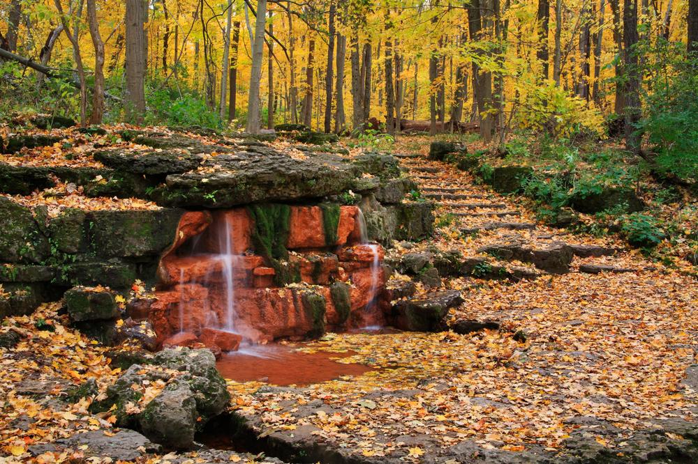 Walk Wildflower Paths and Protect Biodiversity at Glen Helen Nature Preserve