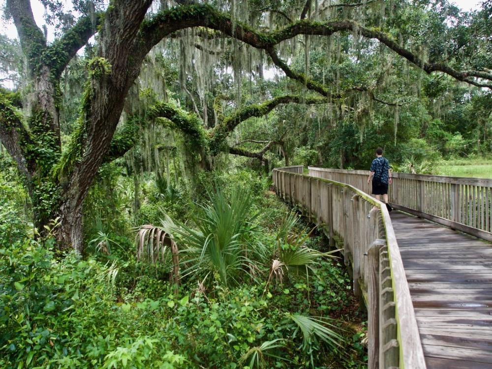 Lithia Springs Conservation Park