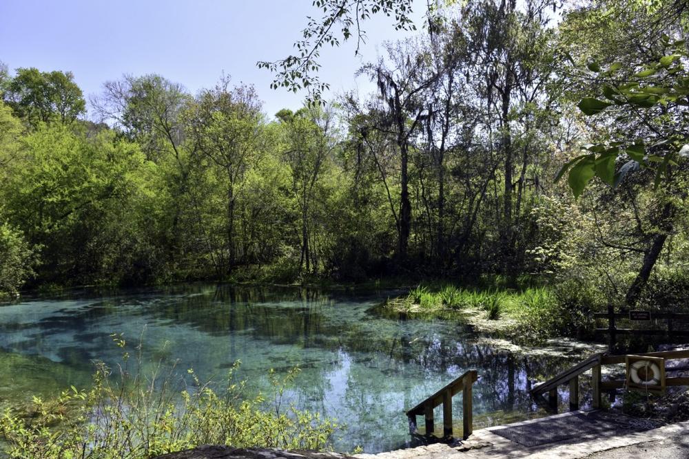 Ichetucknee Springs State Park