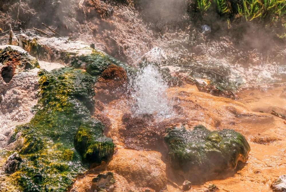 Paradise Valley Hot Spring | Hot Springs in Nevada