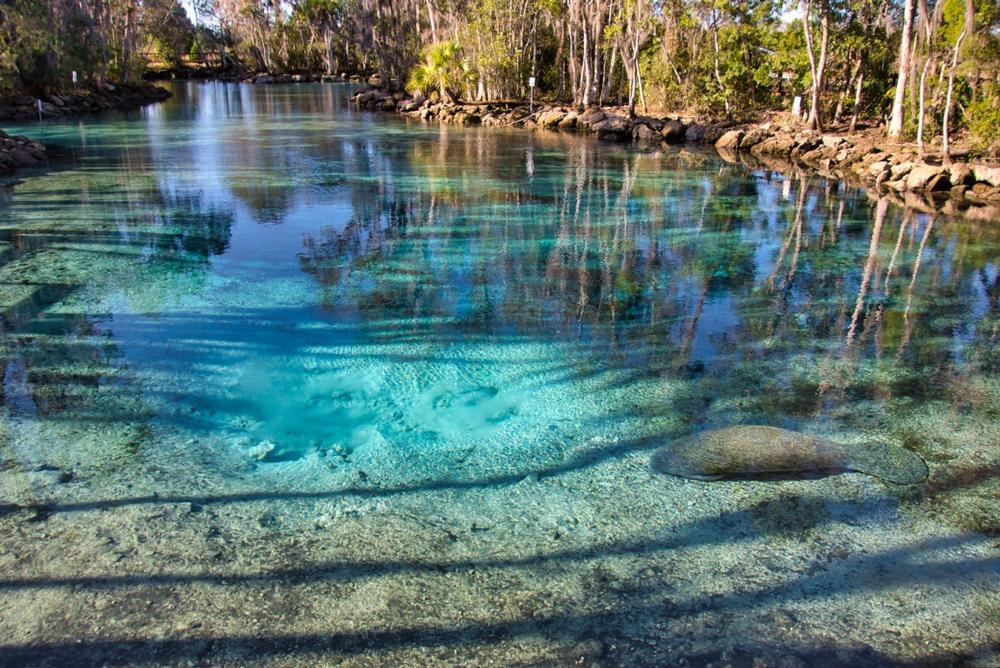 Three Sisters Springs