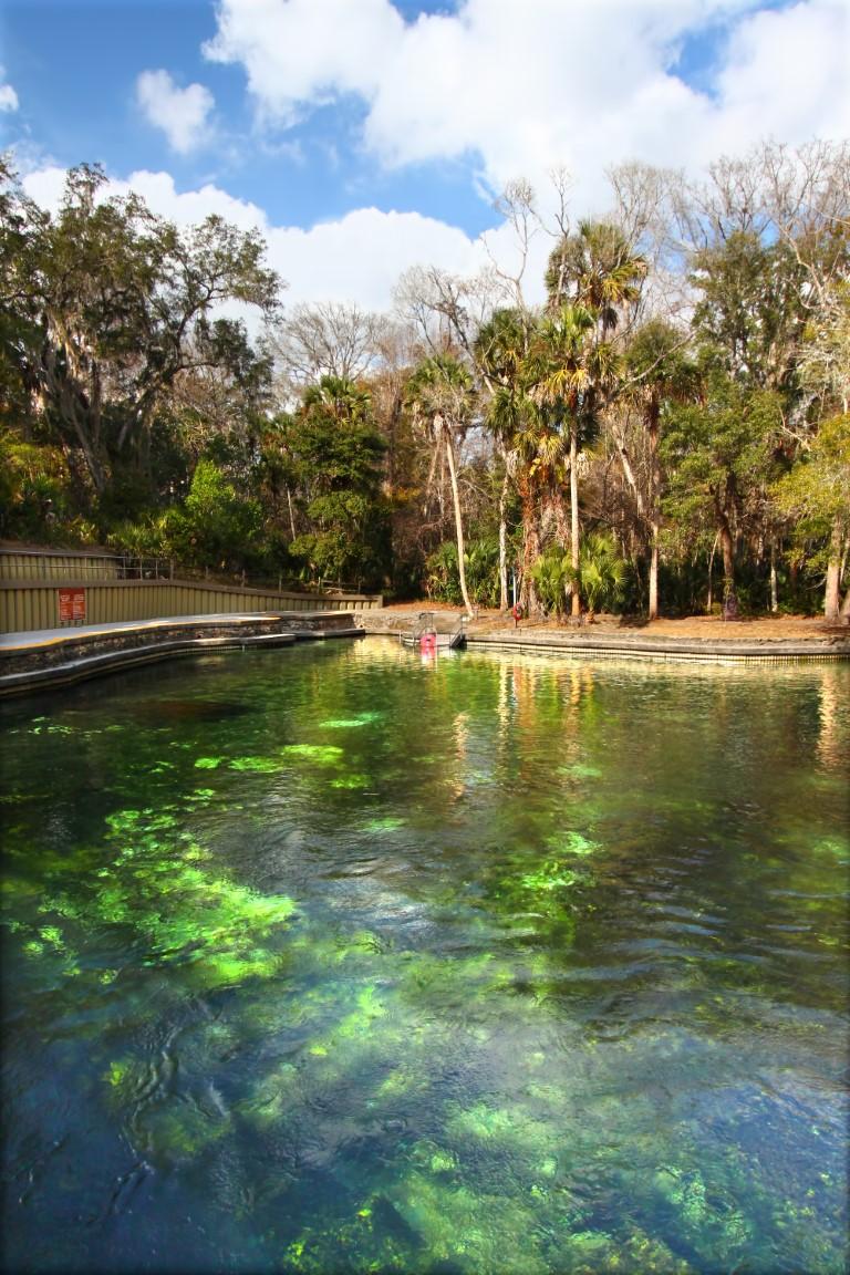 Wekiwa Springs State Park