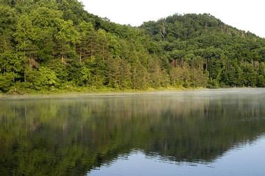 Shawnee State Forest