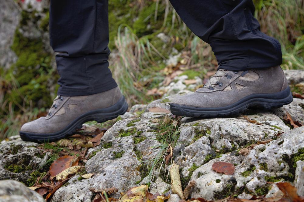 Step Into Botanical Bliss at Augusta-Ann Olsen State Nature Preserve