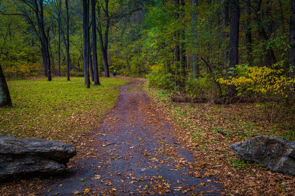 Wander Along the Water: Discover Calm Beauty on Dingmans Ferry Creek Trail