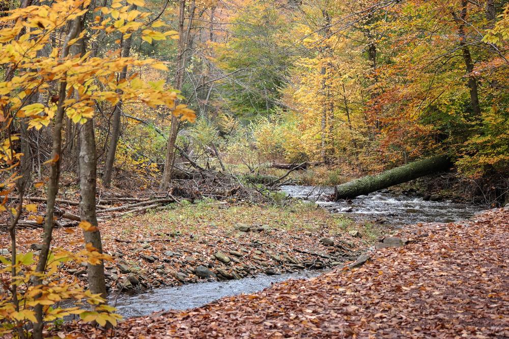 Hike With Heart: Conquer Rugged Terrain to Reach Glen Onoko Falls