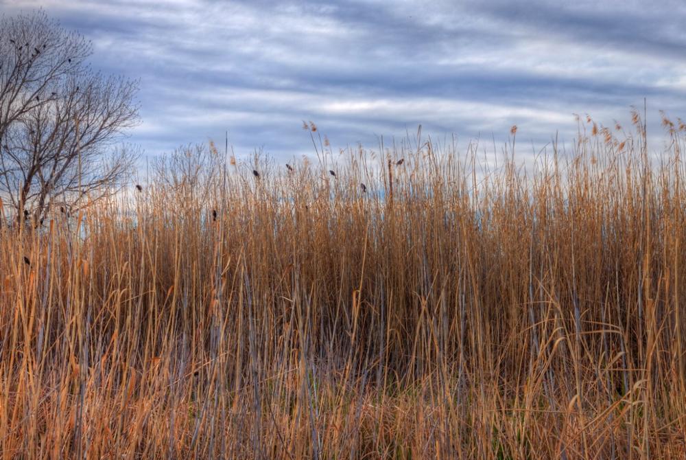 Balmorhea State Park | Hot Springs in Texas