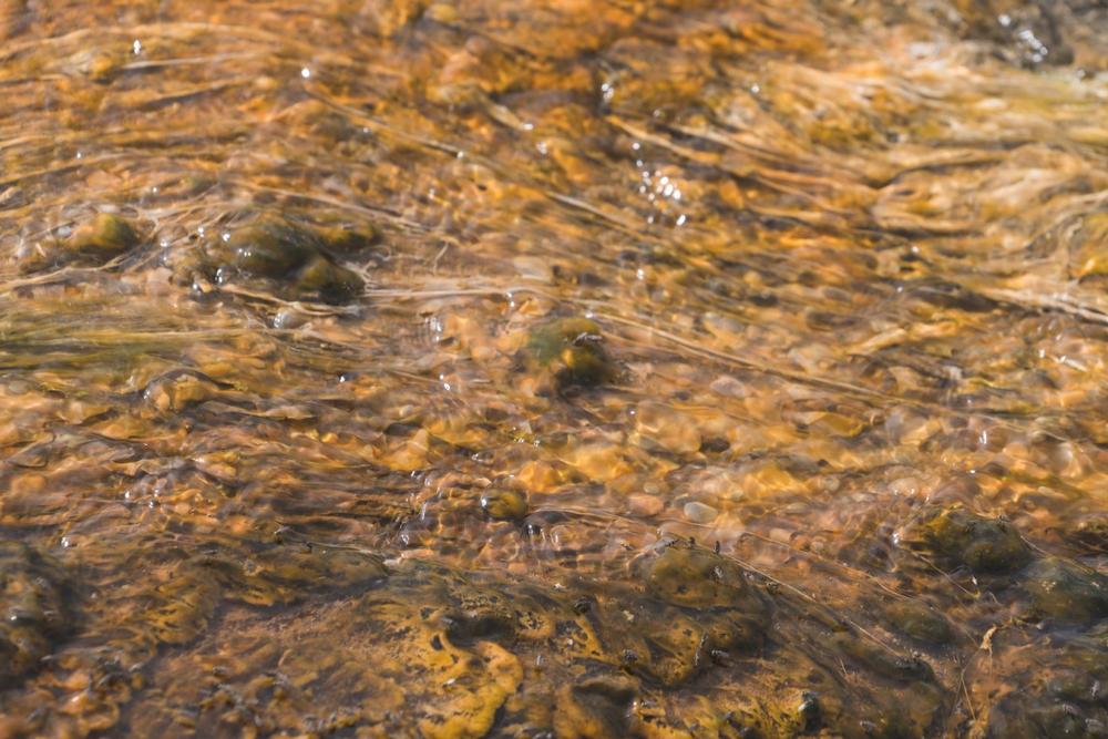 Kaiser Hot Springs - 2 hours southeast of Kingman, AZ