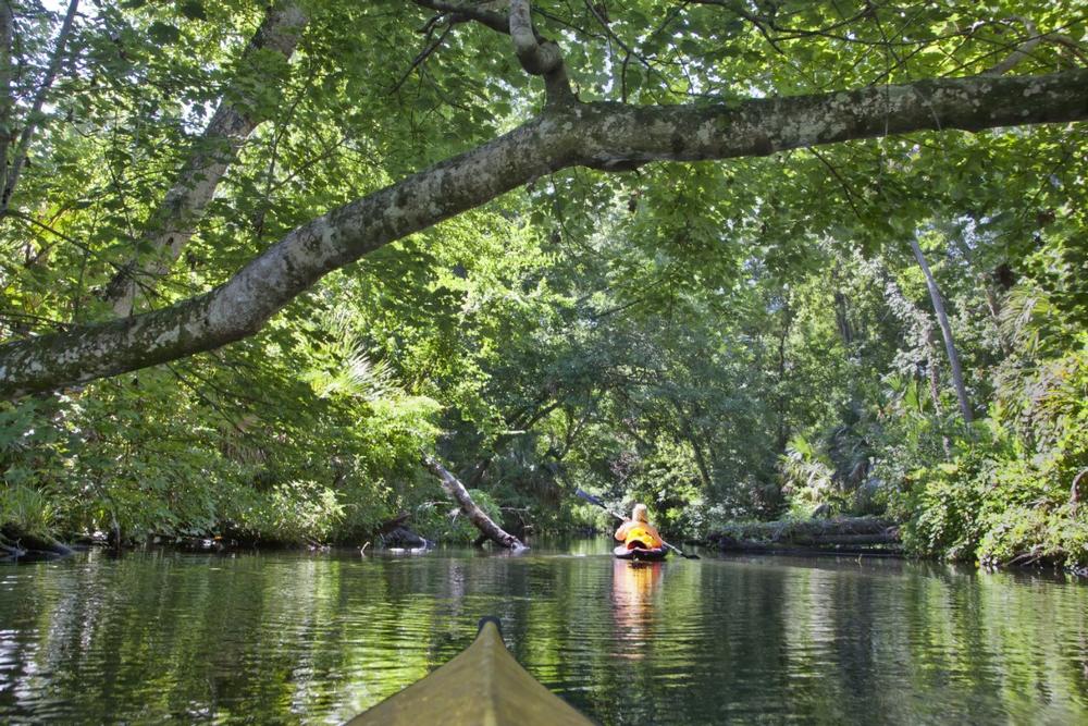https://stock.adobe.com/gr_en/images/rock-springs-run-florida/160084986