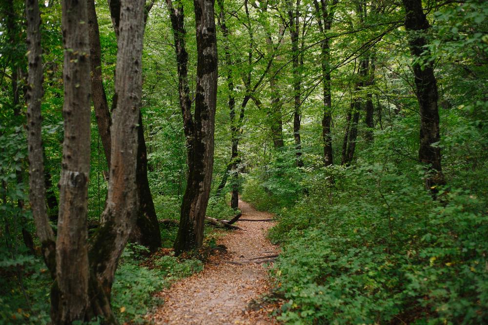 Test Your Limits: Tackle Challenging Heights and Sweeping Views on Golden Eagle Trail
