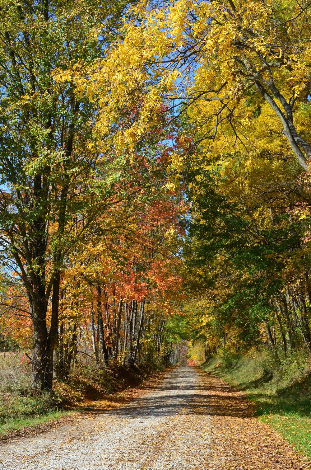Unwind on the Water or Wander the Woods at Burr Oak State Park