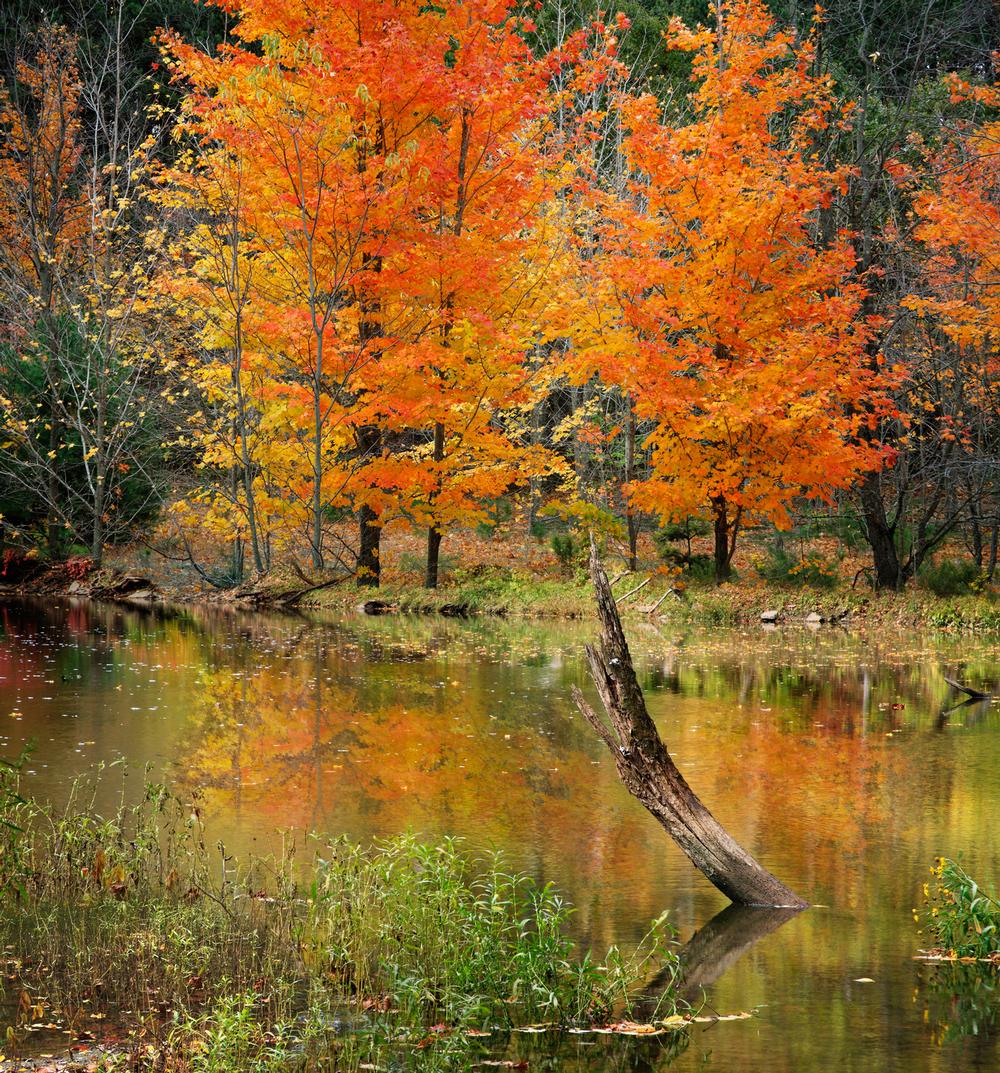 Paddle, Pedal, and Camp Lakeside at Caesar Creek State Park