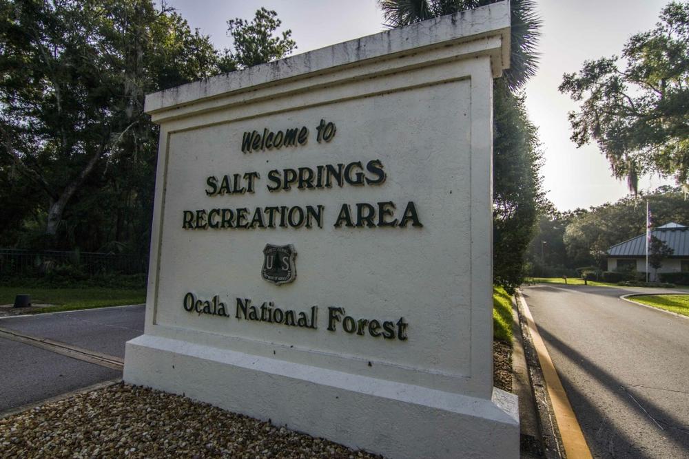 Salt Springs Recreation Area