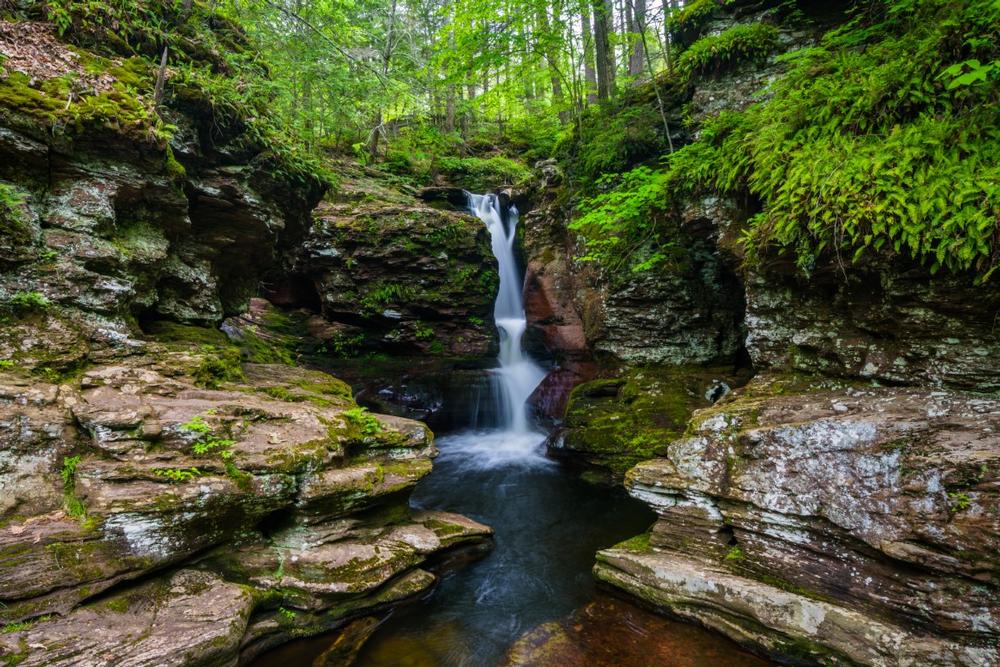 Snap the Perfect Shot: Marvel at the Cascading Beauty of Adams Falls