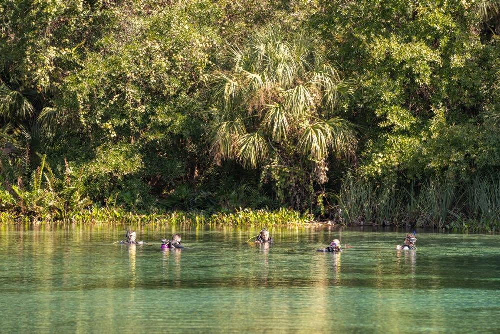 Alexander Springs Recreation Area