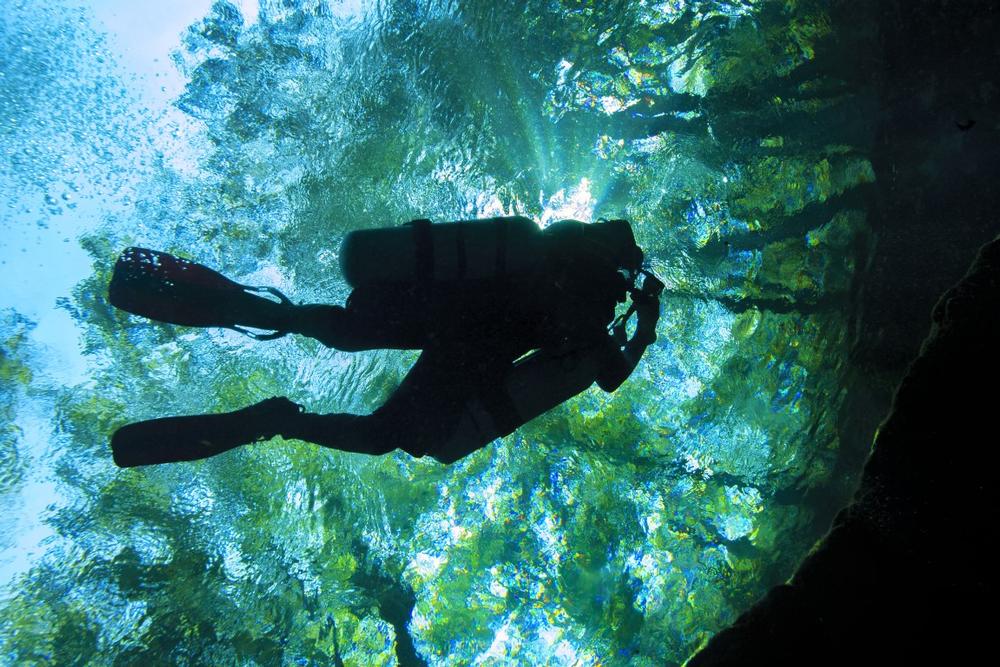 https://stock.adobe.com/gr_en/images/silhouette-of-a-side-mount-diver-at-a-florida-spring/232893196