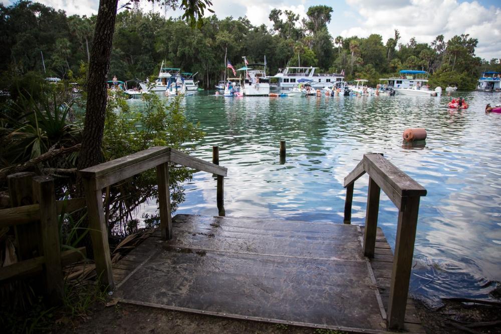 https://stock.adobe.com/gr_en/images/enjoying-a-beautiful-day-at-silver-glen-springs-recreation-area/222867772