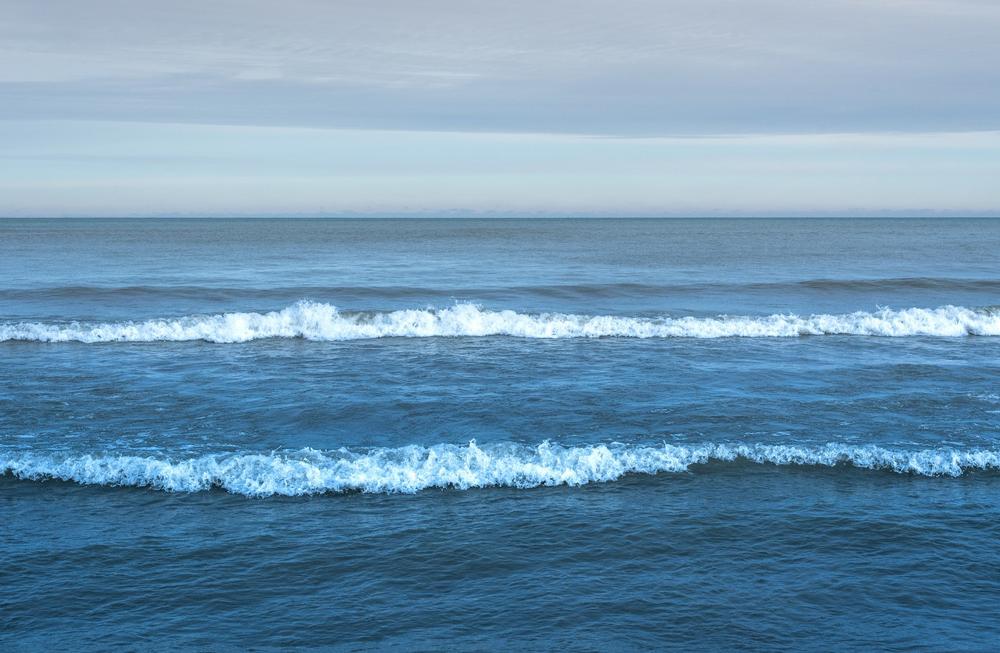 Walk along the shoreline or see beautiful fall colors by the water.