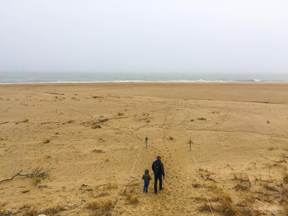 My photo of Chris and my son walking on the beach in Chappaquiddick