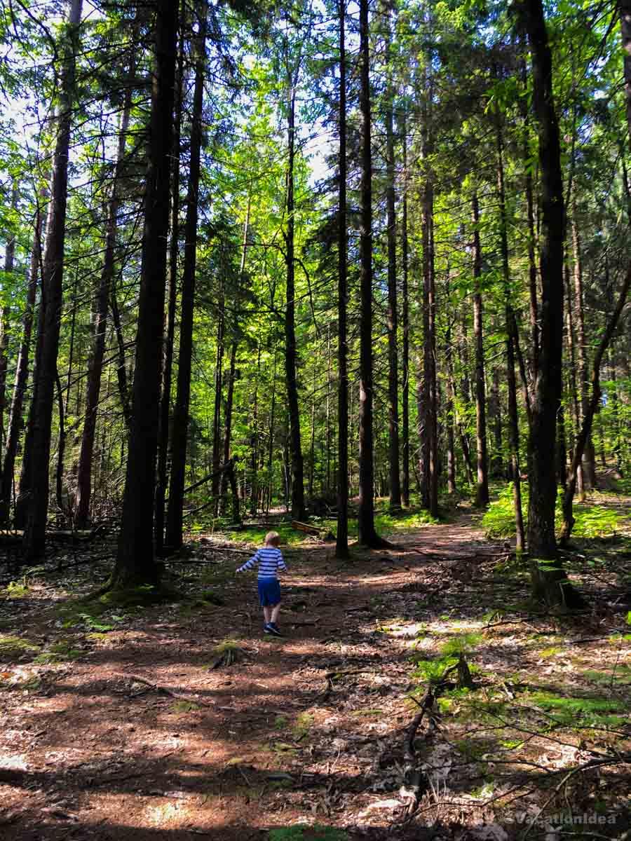 I took this photo of my son hiking in Montana