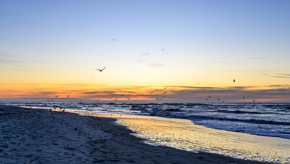 Unplug and Immerse Yourself in Wild Beauty on Little St. Simons Island