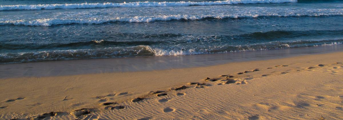 If Quaint Villages and Coastal Hikes Call You, Sail Away to Block Island