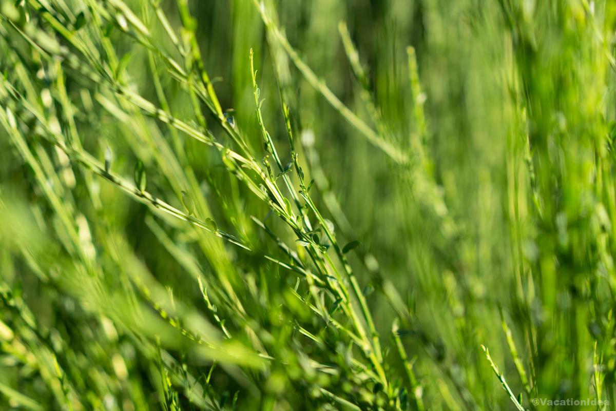 I took this photo on my walk