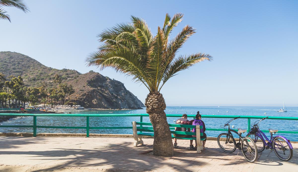 Adventure, Relaxation, and Ocean Views Await You on Catalina Island