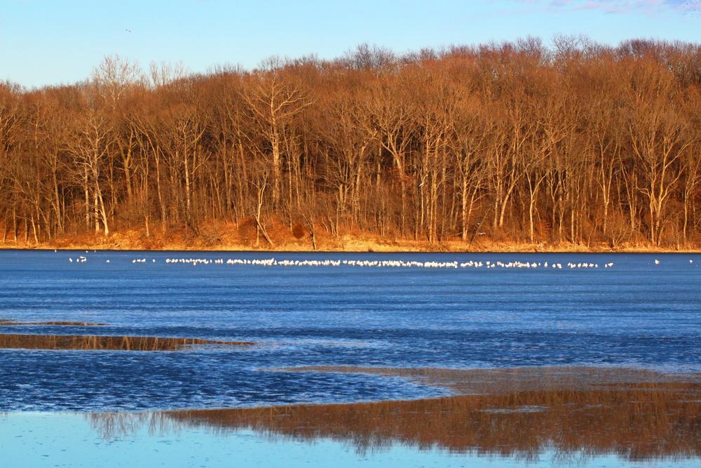 Go boating or hike scenic trails on your affordable weekend escape.