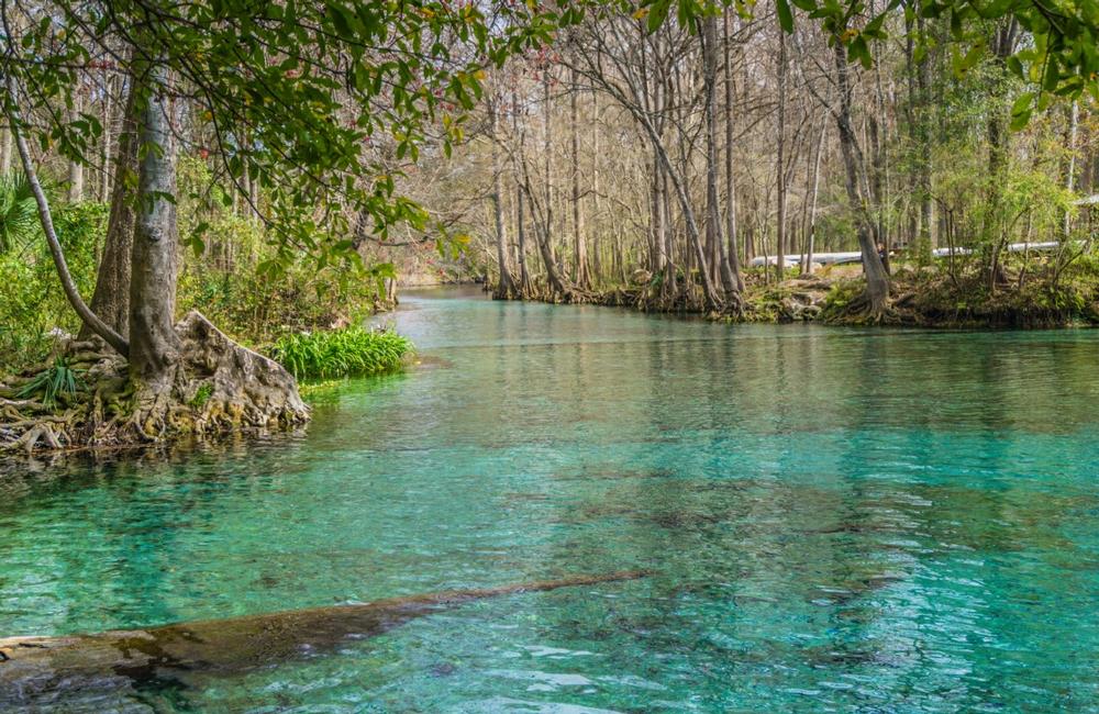 Ginnie Springs - 1 hour and 40 minutes