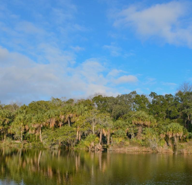 Camp by the shore and kayak through scenic waterways.