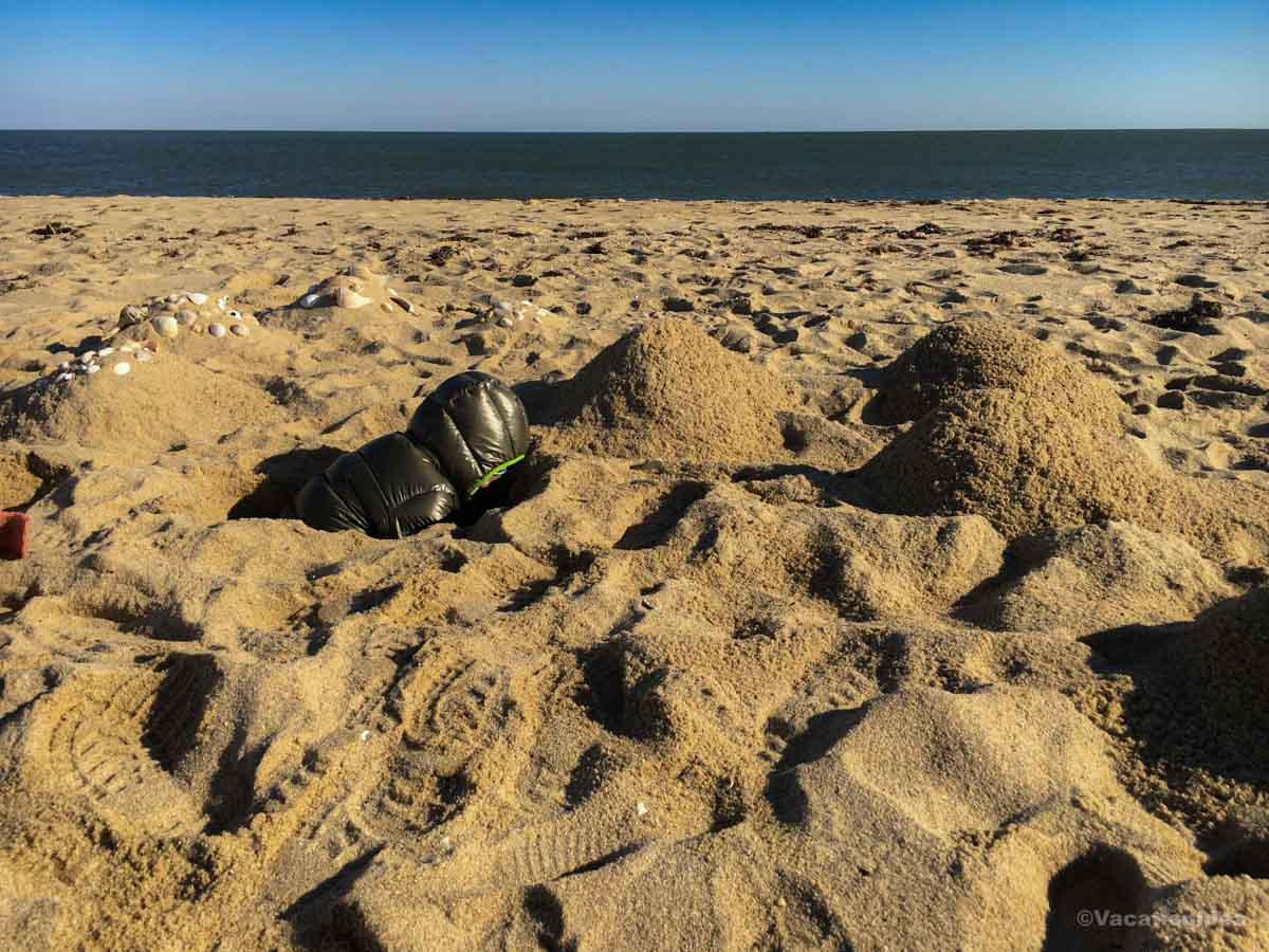 I took this photos of seashells that had washed up on the beach.