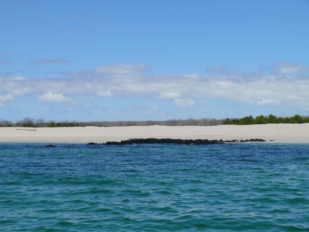 Explore quaint downtown shops and enjoy scenic beach views.