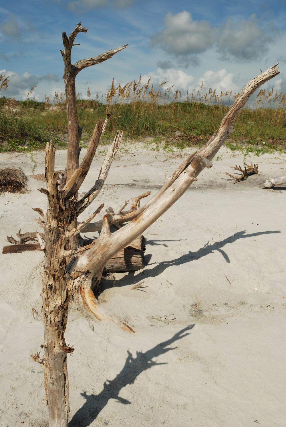 Hike scenic trails and enjoy a secluded beach escape.