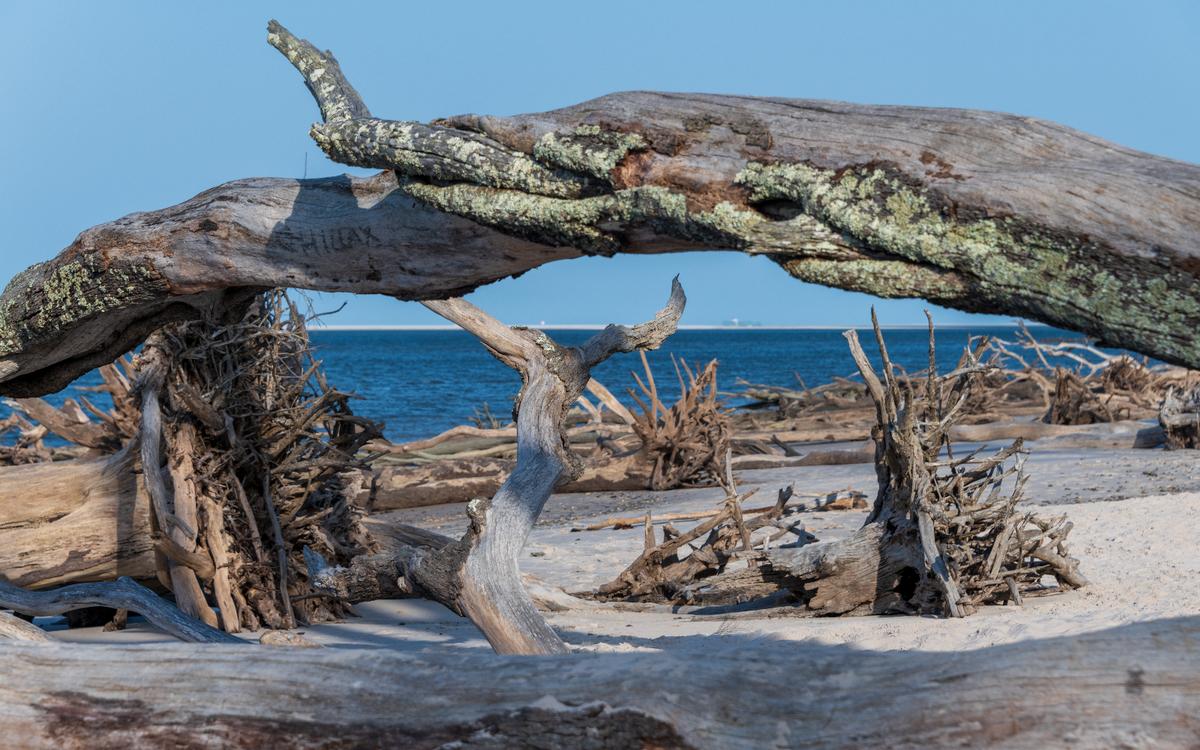 Watch fishing boats and savor fresh local seafood.