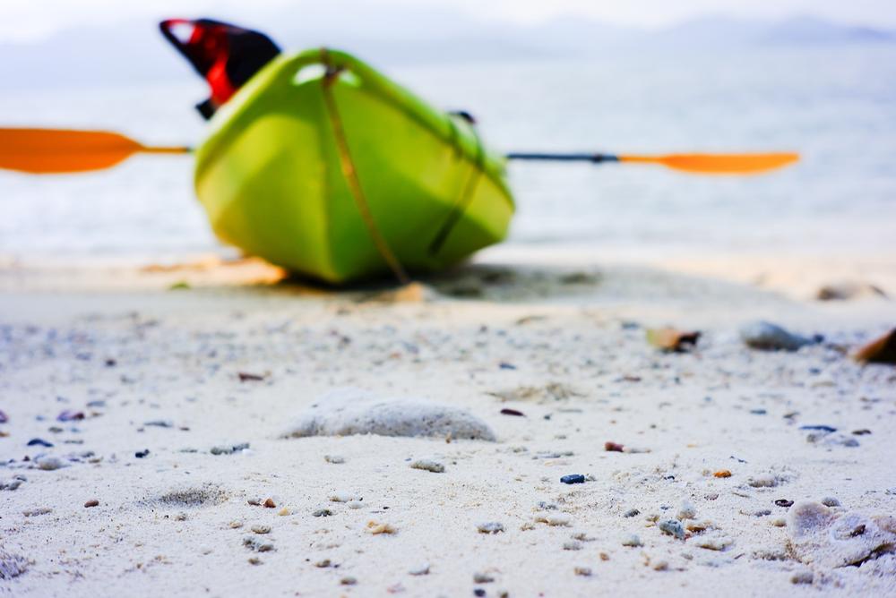 Glide into the Wild with Jenny’s Eco Everglades Wilderness Tour, FL