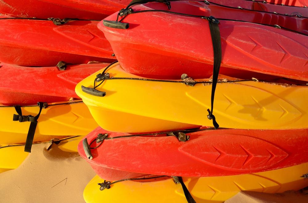 Discover Tranquil Trails with Rookery Bay Kayak Tours, Naples, FL