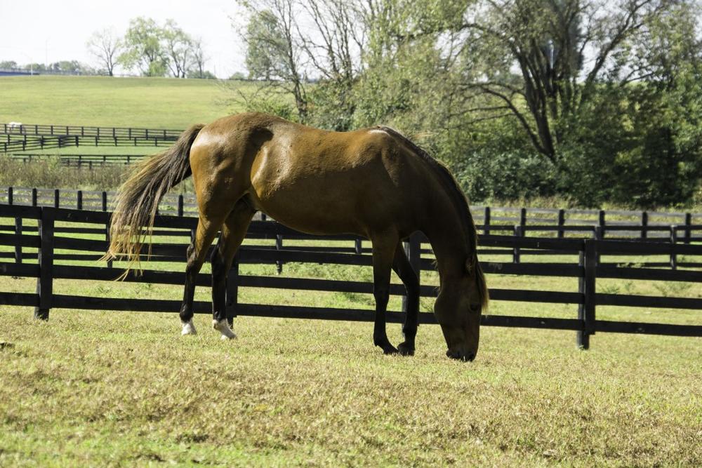 Lexington, KY - 2 hours and 45 minutes by car