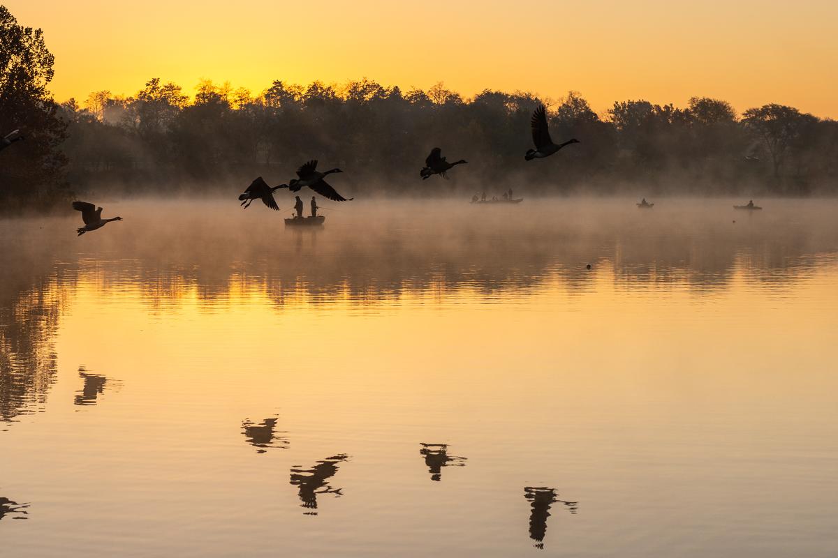 Walk through scenic parks, visit local eateries, and explore a peaceful suburban retreat.