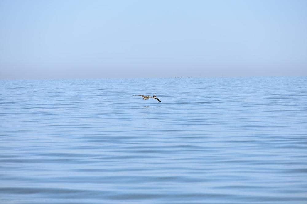 Swim in clear waters and enjoy fun family-friendly activities.