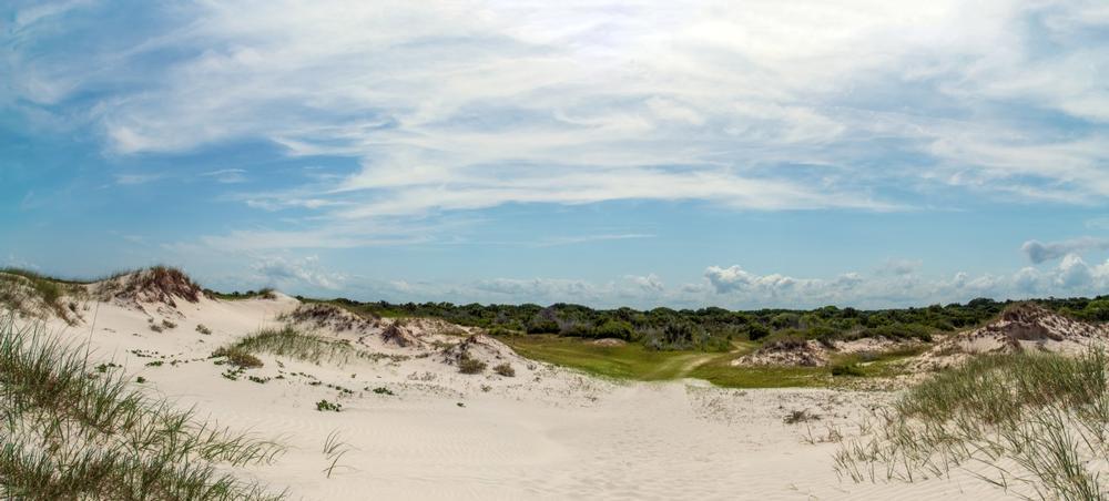 Cumberland Island: Wild Horses & Whispering Dunes