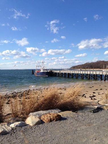 Port Jefferson Village | Day Trips from Long Island, NY