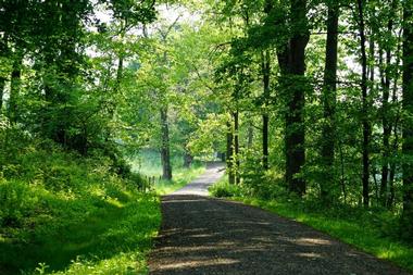 Rockefeller State Park Preserve | Day Trips from Long Island, NY