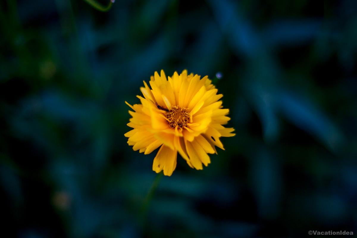 My photo in the Botanical Gardens