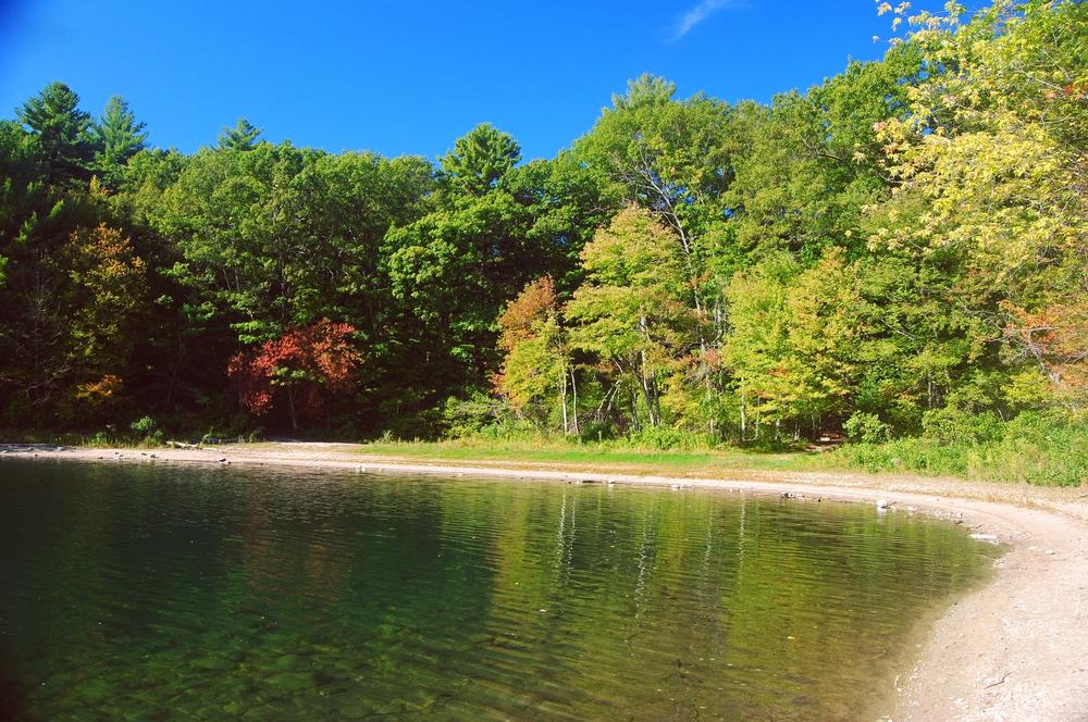 Walden Pond - 30 minutes from Boston
