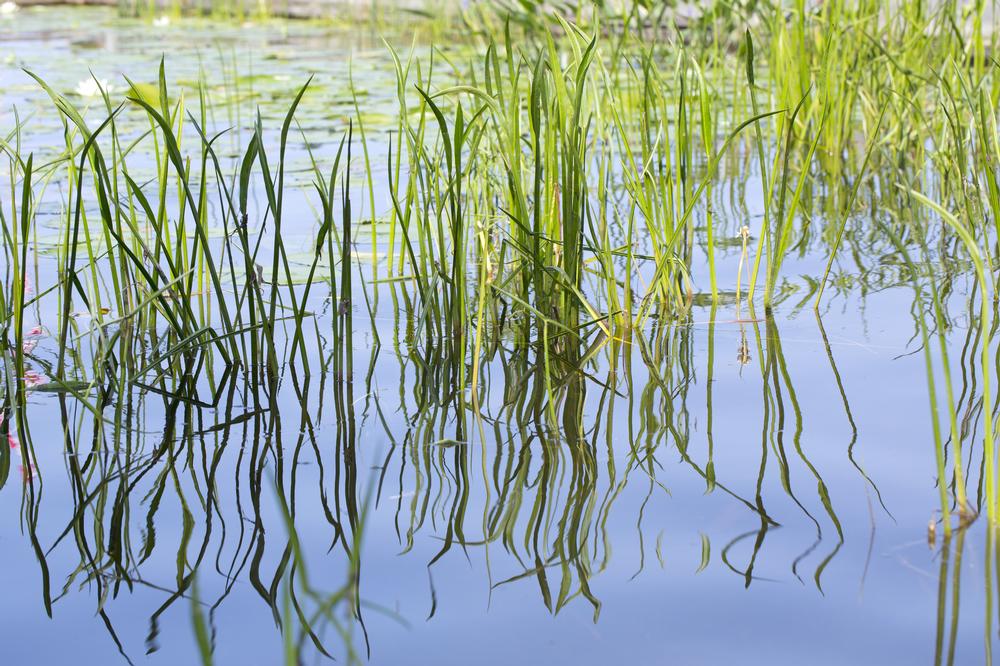 Go boating or enjoy scenic shorelines during a peaceful fall day trip.